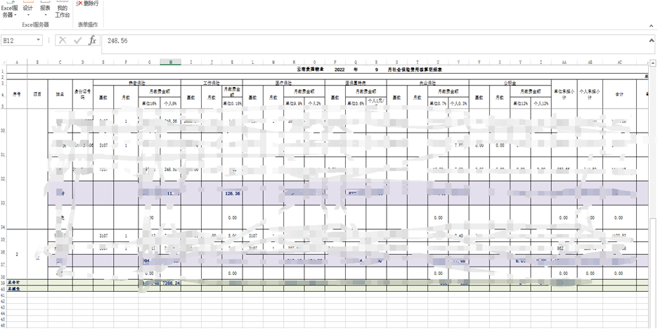 勤哲Excel服务器实现劳务派遣薪资核算 - 社保统计